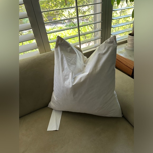 20 x 20 Down Throw Pillow Inserts - Picture 1 of 3